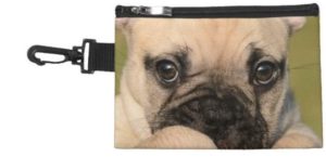 Read more about the article 12 Fab Gifts for True French Bulldog Lovers